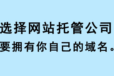 選擇網站托管公司要擁有你自己的域名