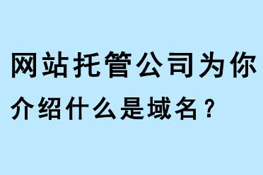 網站托管公司為你介紹什么是域名