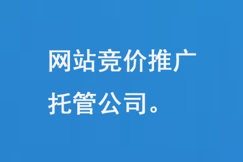網站競價推廣托管公司