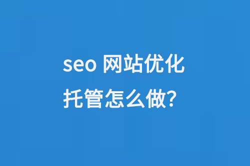 seo網站優化托管怎么做